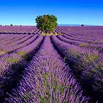 Ferienhaus Green Escape Roquebrune ,Maison Au Coeur Du Golf 18 Trous Roquebrune-sur Argens